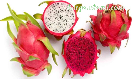 khasiat buah naga merah dan putih (FILEminimizer)
