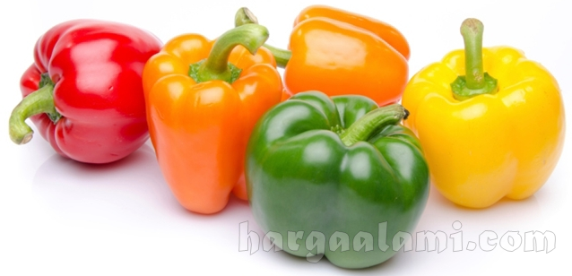 manfaat paprika untuk kesehatan
