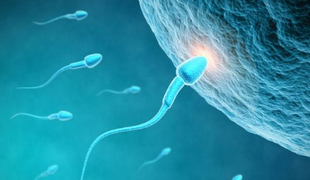 hal-hal yang dapat merusak kualitas sperma